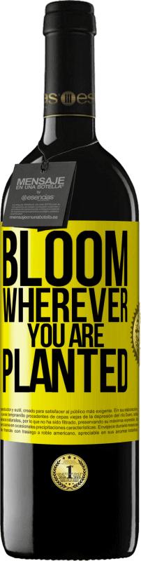 «Цветет везде, где вы посажены» Издание RED MBE Бронировать