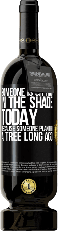 «Кто-то сегодня сидит в тени, потому что кто-то давно посадил дерево» Premium Edition MBS® Бронировать