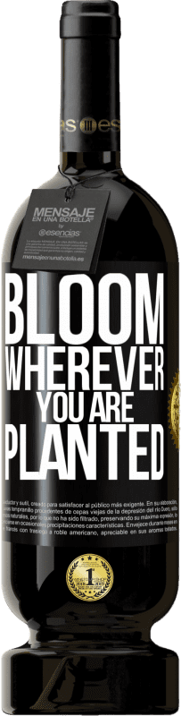 «Цветет везде, где вы посажены» Premium Edition MBS® Бронировать