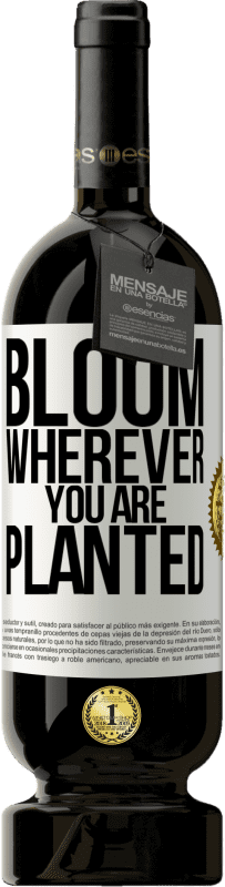 «Цветет везде, где вы посажены» Premium Edition MBS® Бронировать