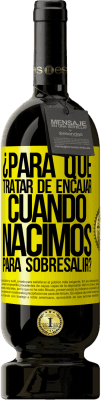 Negocios