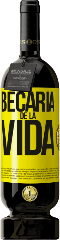 49,95 € | Vino Tinto Edición Premium MBS® Reserva Becaria de la vida Etiqueta Amarilla. Etiqueta personalizable Reserva 12 Meses Cosecha 2014 Tempranillo