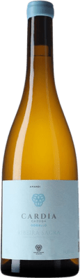 Damm Cazoga Godello Ribeira Sacra Cepas Centenarias — Videiras Centenárias 75 cl