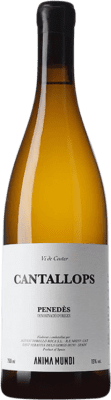 AT Roca Anima Mundi Cantallops Xarel·lo Penedès 75 cl