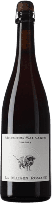 Beer Romane Mousses Sauvages Gamay 75 cl