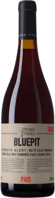 Pedro Parra Bluepit Cinsault — 珍梭 Valle del Itata 75 cl