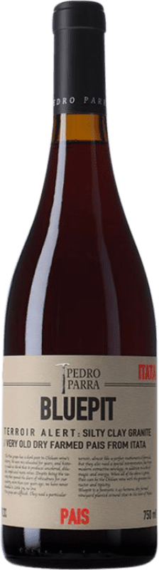 Kostenloser Versand | Rotwein Pedro Parra Bluepit I.G. Valle del Itata Itata-Tal Chile Cinsault 75 cl