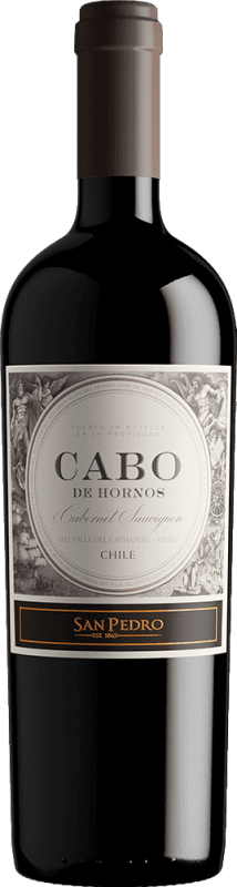 118,95 € Envoi gratuit | Vin Rouge Viña San Pedro Cabo de Hornos Spécial Réserve I.G. Valle Central
