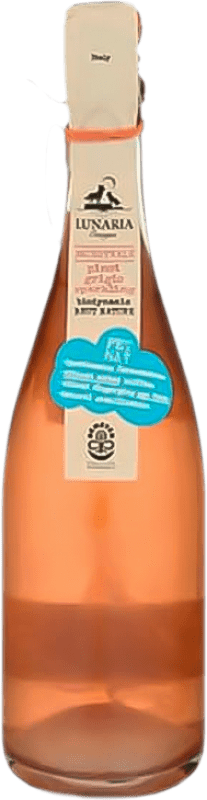 16,95 € Kostenloser Versand | Roséwein Bio Cantina Orsogna Lunaria Ramoro I.G.T. Terre di Chieti