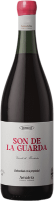 Amatria Son de la Guarda Garnacha — Grenache Navarra 75 cl