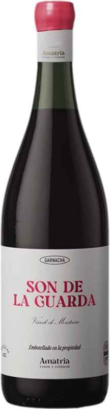 Envoi gratuit | Vin Rouge Amatria Son de la Guarda D.O. Navarra Navarre Espagne Garnacha — Grenache 75 cl