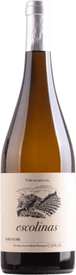Escolinas Blanco Castaño Albarín Vino de Calidad de Cangas Bottiglia Magnum 1,5 L