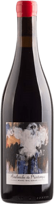 Marc Delienne Avalanche de Printemps Gamay — ガメイ Fleurie 75 cl