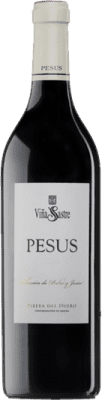 Viña Sastre Pesus Ribera del Duero 大瓶 — Magnum 1,5 L