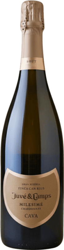 51,95 € Envío gratis | Espumoso Blanco Juvé y Camps Millésimé D.O. Cava