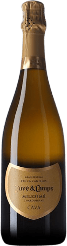 51,95 € Free Shipping | White Sparkling Wine Juvé y Camps Millésimé D.O. Cava