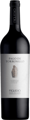 Figuero Pago Torrosillo