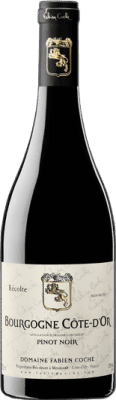 Domaine Fabien Coche Pinot Noir Bourgogne Côte d'Or 75 cl