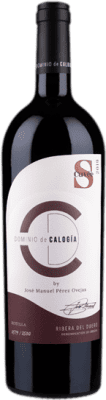 Dominio de Calogía S Cuvée Magnumflasche 1,5 L