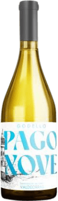 Viñedos de Altura Pago Xove Godello — Годельо Valdeorras 75 cl