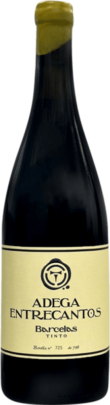 25,95 € 送料無料 | 赤ワイン Entrecantos Barcelas I.G.P. Val do Miño