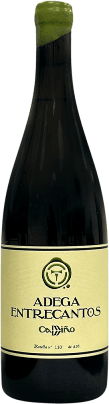 27,95 € | Vinho Tinto Entrecantos Camiño I.G.P. Val do Miño Galilea Espanha Godello, Caíño 75 cl