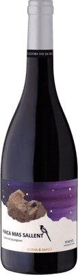 Alsina & Sardà Mas Sallent Cabernet Sauvignon Seco — Dry Penedès Vino de Finca — Estate Wine Eco — Organic 75 cl