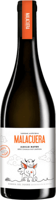 Malacuera Albillo Seco — Secco Ribera del Duero 75 cl