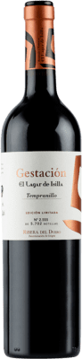 Lagar de Isilla Gestación 9 Meses Tempranillo Seco — Dry Ribera del Duero 75 cl