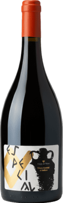 Els Vilars Merlot Seco Costers del Segre Especial, Ánfora — Ânfora 75 cl