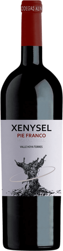 送料無料 | 赤ワイン Xenysel Pie Franco Seco — 辛口 D.O. Jumilla ムルシア地方 スペイン Monastrell — モナストレル Bio — Eco エコ ビオ オーガニック 75 cl Vegan — ヴィーガン