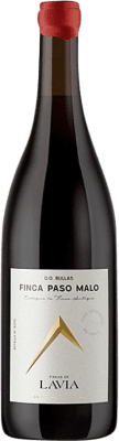 Lavia Finca Paso Malo Monastrell Bullas 75 cl