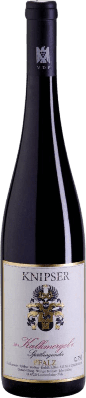 Envoi gratuit | Vin Rouge Knipser Kalkmergel Trocken — Sec Q.b.A. Pfälz Pfälz Allemagne Pinot Noir 75 cl