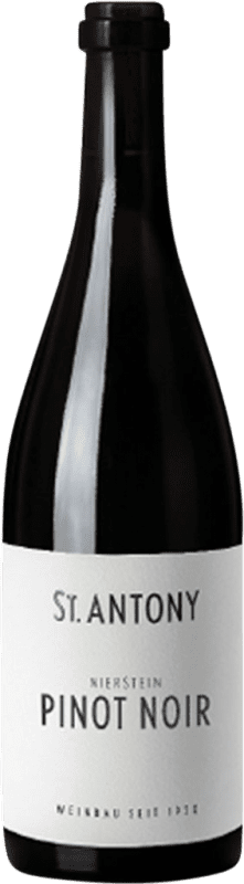 Envío gratis | Vino Tinto St. Antony Nierstein Trocken — Seco Q.b.A. Rheinhessen Rheinhessen Alemania Pinot Negro 75 cl