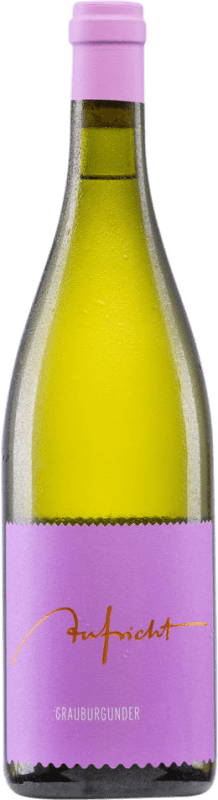 Envio grátis | Vinho Branco Weingut Aufricht Alemanha Pinot Cinzento 75 cl