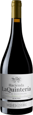 Santiago Jordi Hacienda La Quintería Macharnudo Palomino Fino Vino de la Tierra de Cádiz 75 cl