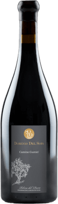 Dominio del Soto Camino Gumiel Tempranillo Ribera del Duero 75 cl