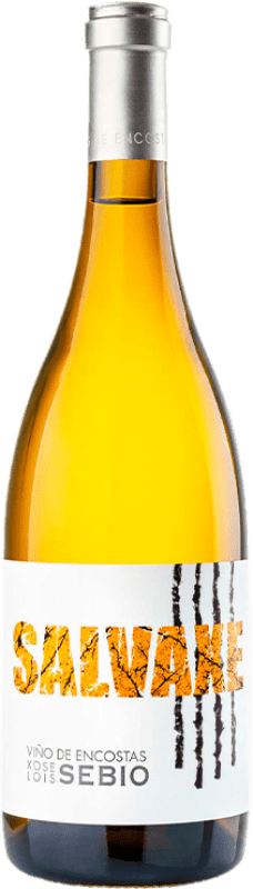 41,95 € | 白ワイン Viños de Encostas Salvaxe D.O. Ribeiro ガリシア スペイン Godello — ゴデーリョ, Treixadura — トレイシャドゥーラ, Albariño — アルバリーニョ, Verdello — ヴェルデッロ 75 cl