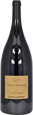 Antoine Sanzay Les Echalas Cabernet Franc Saumur-Champigny Magnum Bottle 1,5 L
