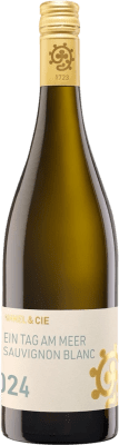 Hammel Ein Tag am Meer Sauvignon Trocken — Seco Pfälz 75 cl