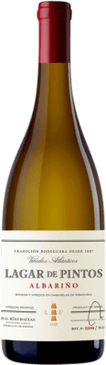 Lagar de Pintos Albariño — Albarinho Rías Baixas 75 cl