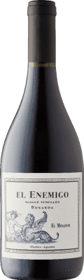 Aleanna El Enemigo El Mirador Bonarda Mendoza Single Vineyard 75 cl
