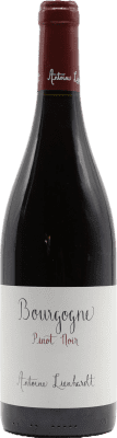 Antoine Lienhardt Pinot Noir — Пино Нуар Bourgogne 75 cl