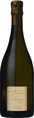Nathalie Falmet Terra Chardonnay Extra Brut — Extra Bruto Champagne 75 cl