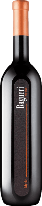 24,95 € | Vinho Tinto Klet Brda Bagueri I.G. Primorska Goriška Brda Eslovênia Merlot 75 cl