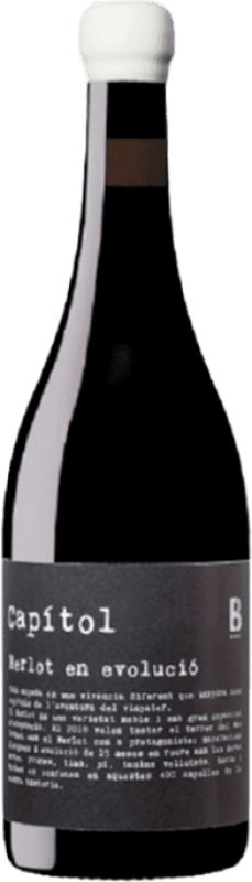 31,95 € Free Shipping | Rosé Wine Bernaví Capítol D.O. Terra Alta