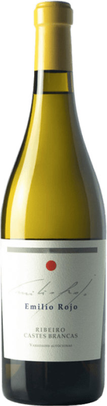 Envio grátis | Vinho Branco Viña Meín D.O. Ribeiro Galiza Espanha Loureiro, Treixadura, Albariño — Albarinho, Lado 75 cl