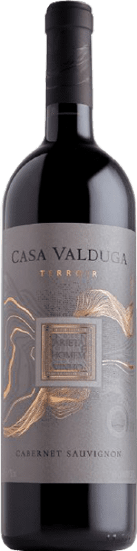 31,95 € 送料無料 | 赤ワイン Casa Valduga Terroir I.G. Campanha
