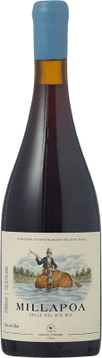 Torres Millapoa Crianza — Крианса 75 cl