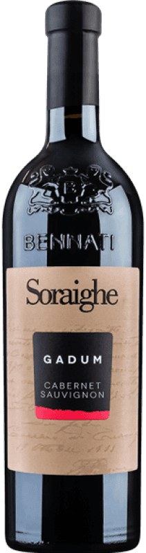 17,95 € Kostenloser Versand | Rotwein Bennati Gadum Seco — Trocken I.G.T. Veneto